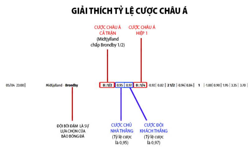 Hiểu Đúng Về Kèo Chấp ½ - Bí Quyết Đặt Cược Thành Công 3 Cách tính kèo chấp ½ và cách áp dụng